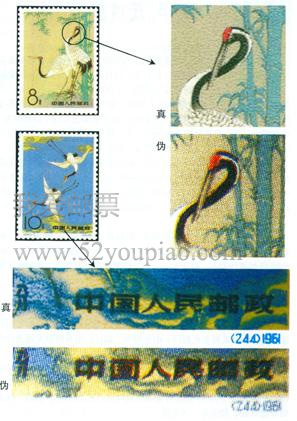 特48《丹頂鶴》郵票的真偽鑒別