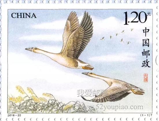 《大雁》特種郵票